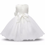 Princess Flower Girl Dress